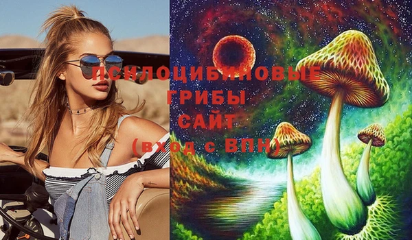 jwh Аркадак