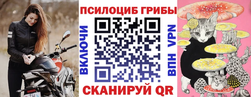 Галлюциногенные грибы Cubensis  мориарти как зайти  Ирбит  наркошоп 